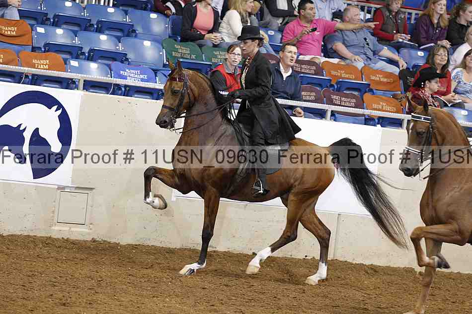 Proof 11usn_09630