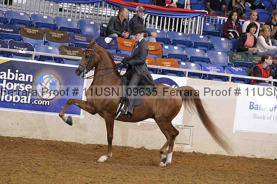 Proof 11usn_09635