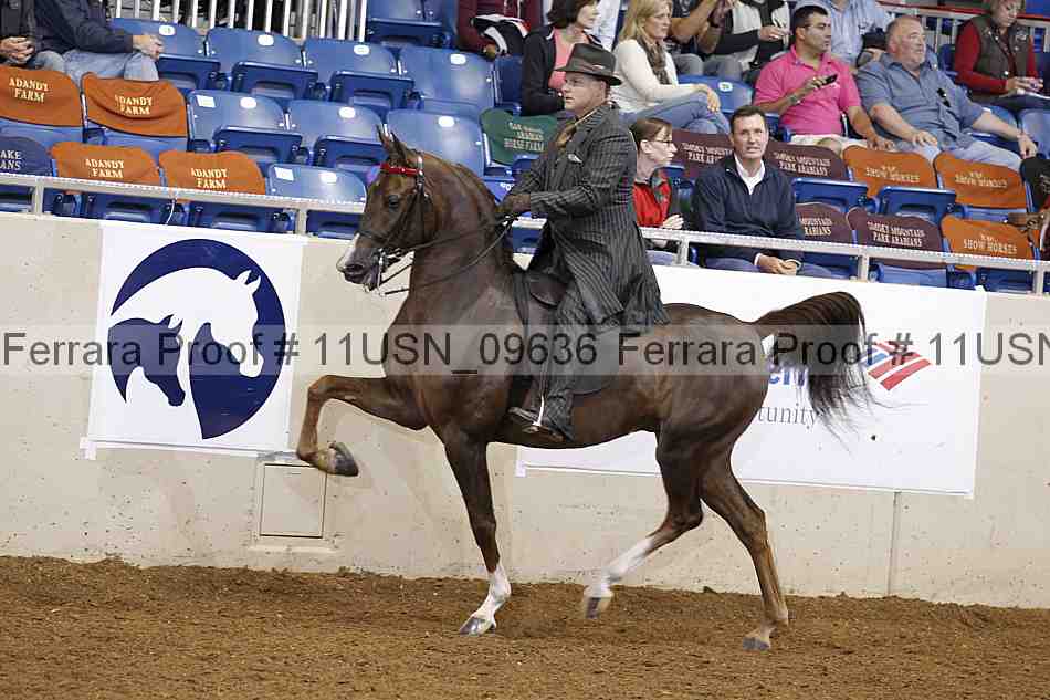 Proof 11usn_09636