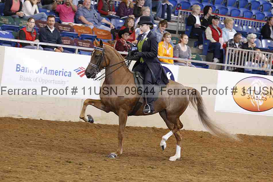 Proof 11usn_09644