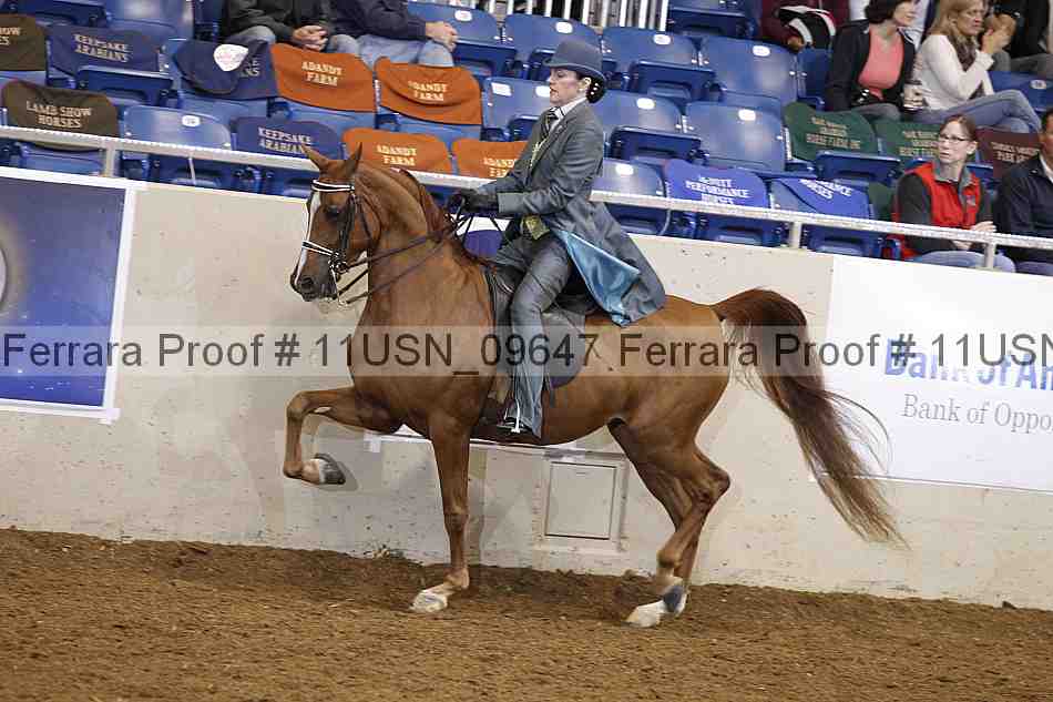 Proof 11usn_09647