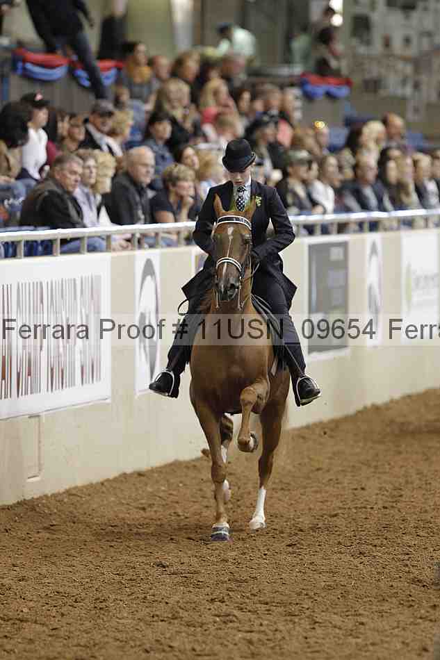Proof 11usn_09654