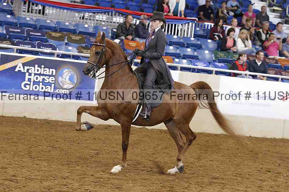Proof 11usn_09657