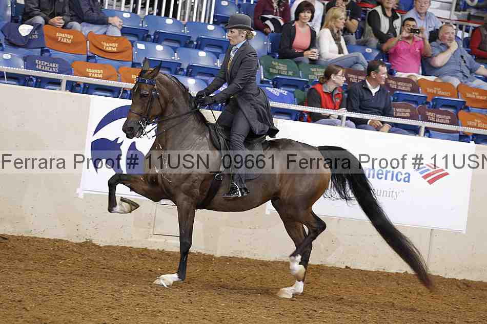 Proof 11usn_09661