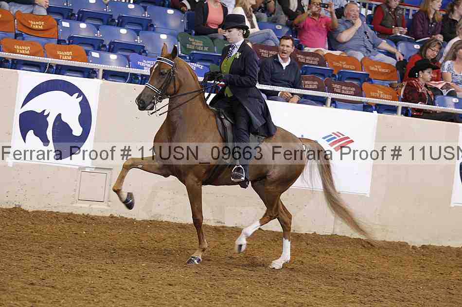 Proof 11usn_09663