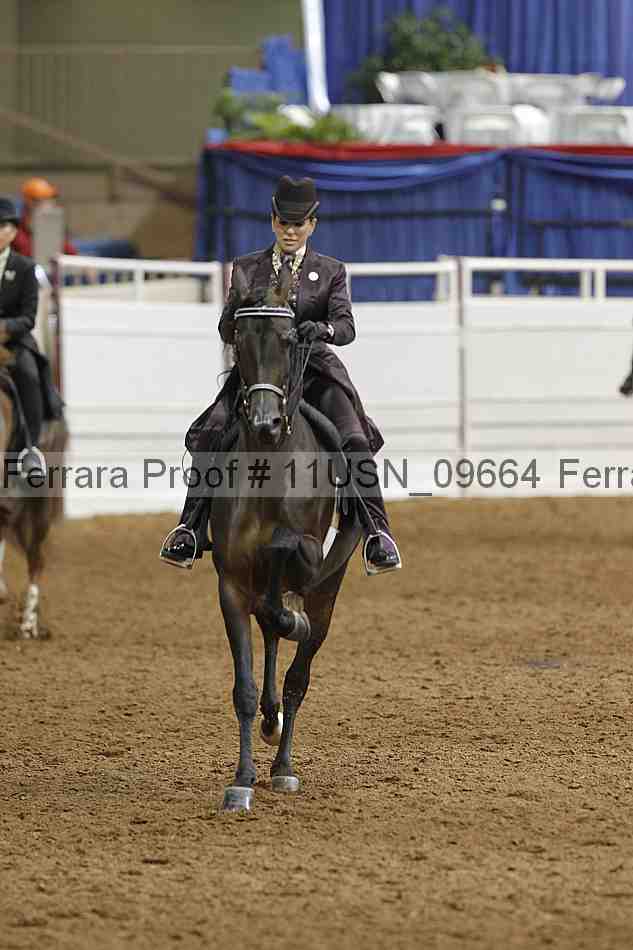 Proof 11usn_09664