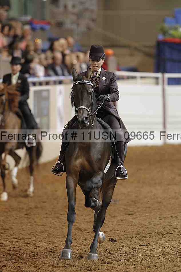 Proof 11usn_09665
