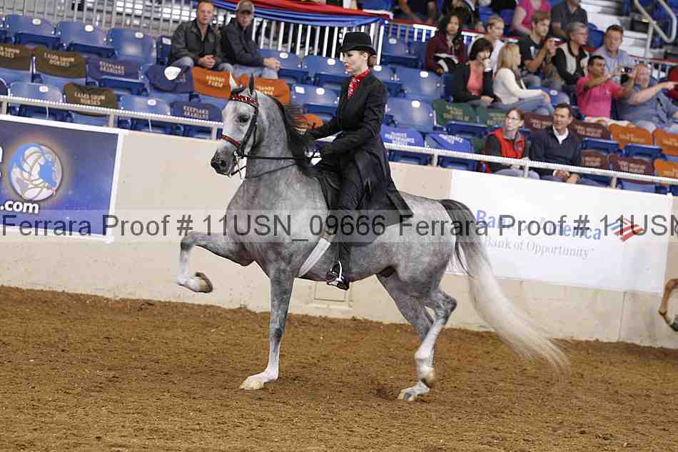 Proof 11usn_09666