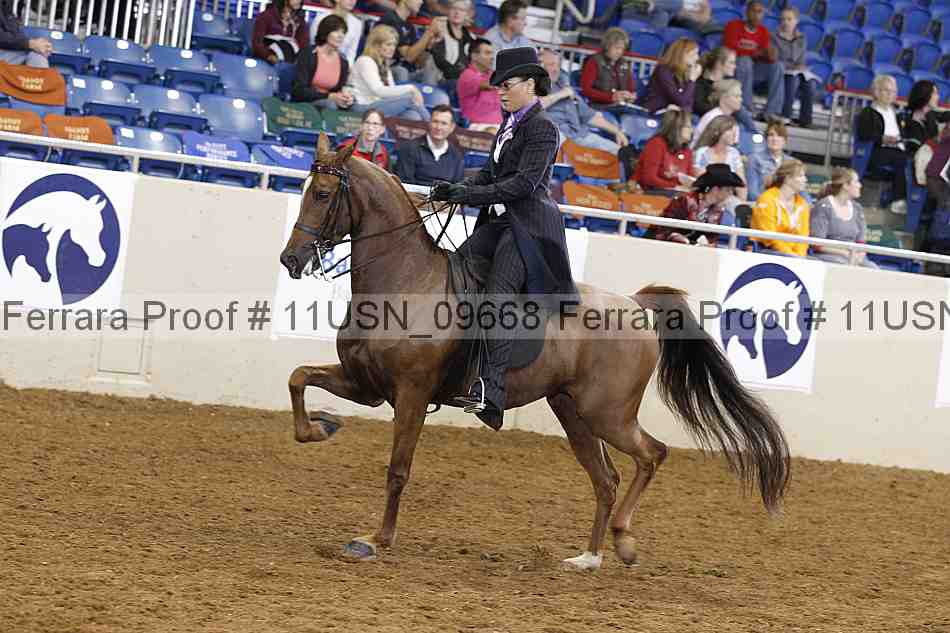 Proof 11usn_09668