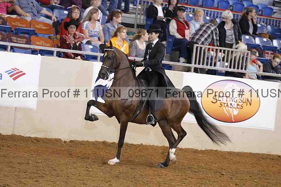 Proof 11usn_09671