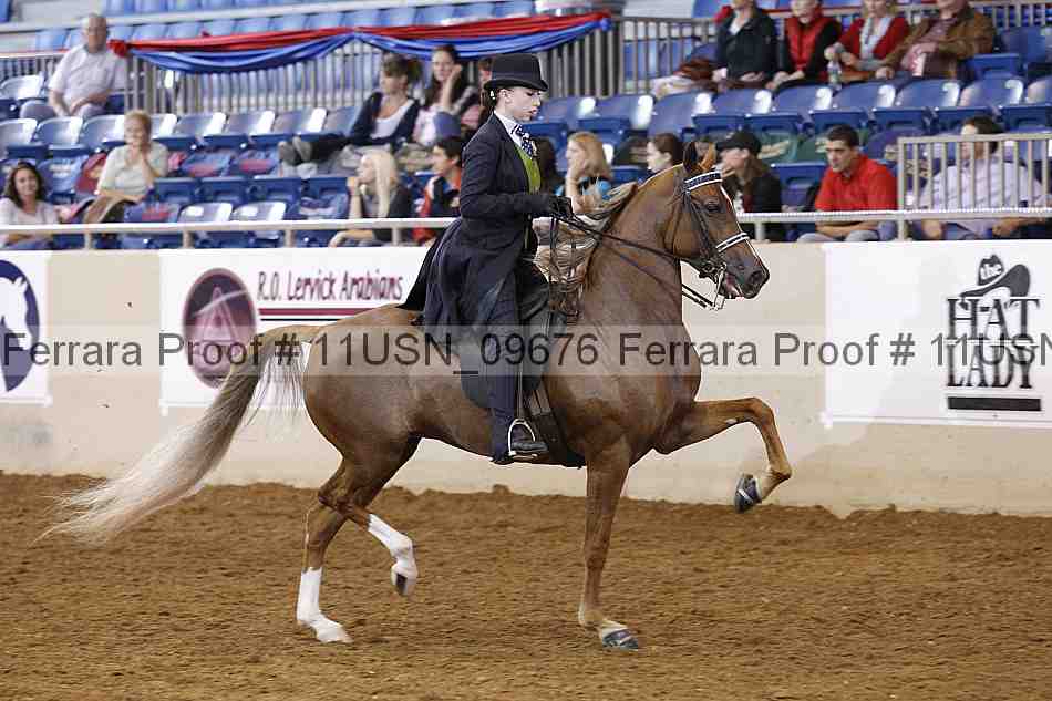 Proof 11usn_09676