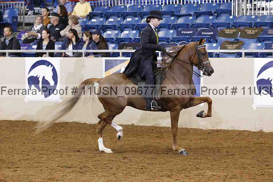 Proof 11usn_09677
