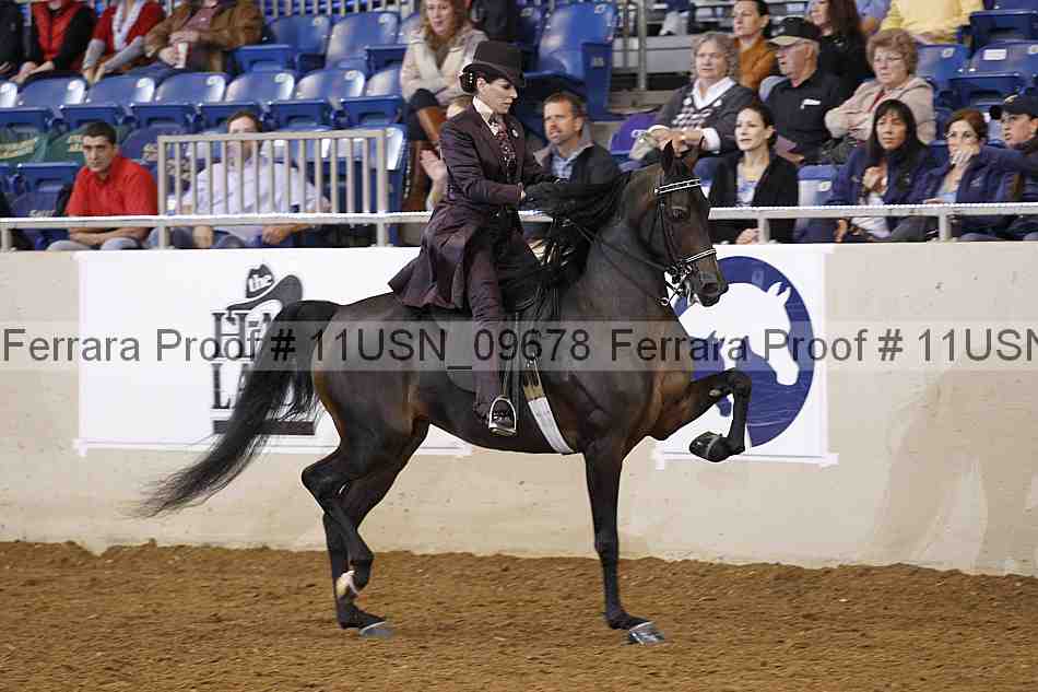 Proof 11usn_09678