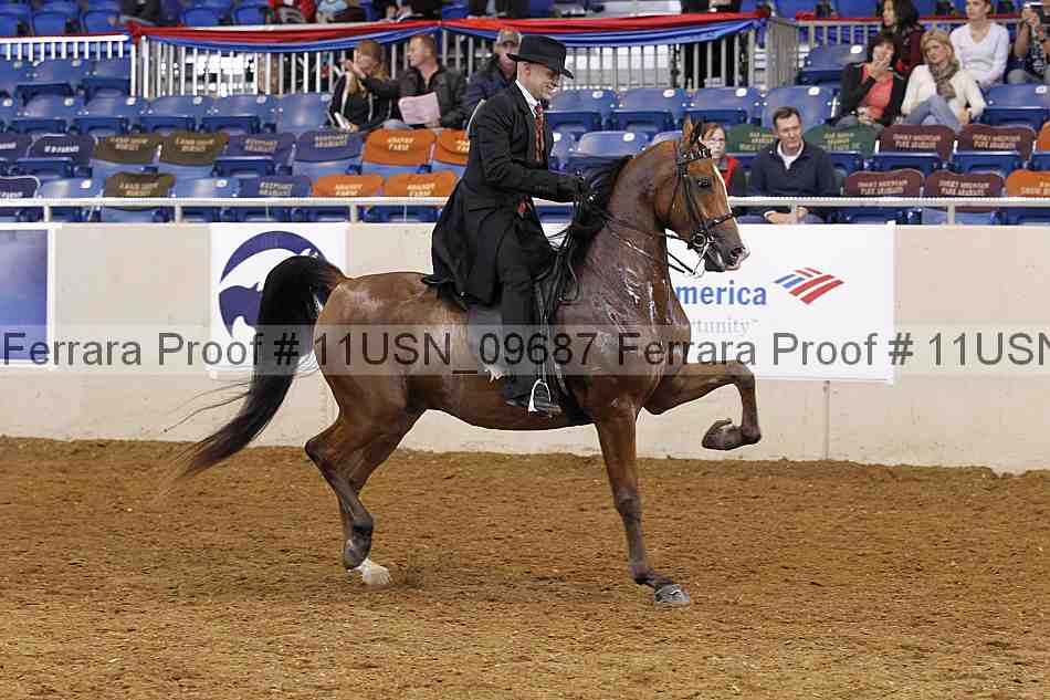 Proof 11usn_09687