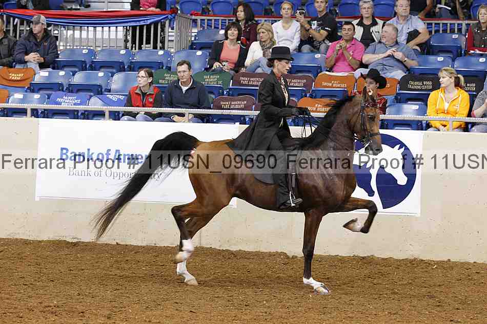 Proof 11usn_09690