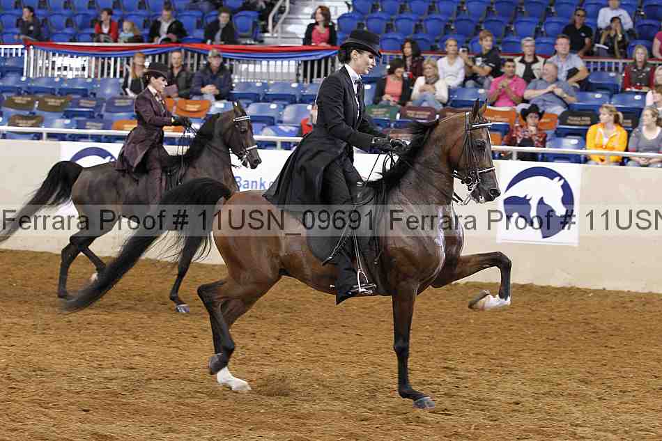 Proof 11usn_09691