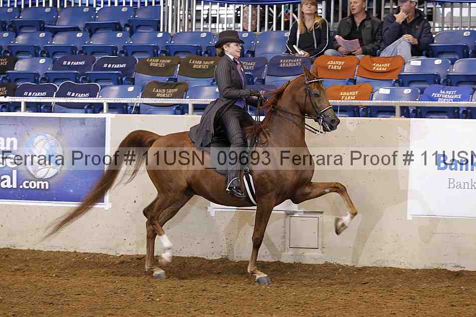 Proof 11usn_09693