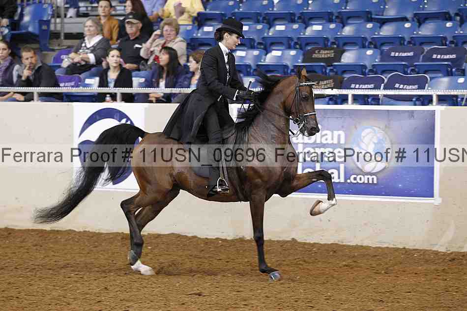 Proof 11usn_09696