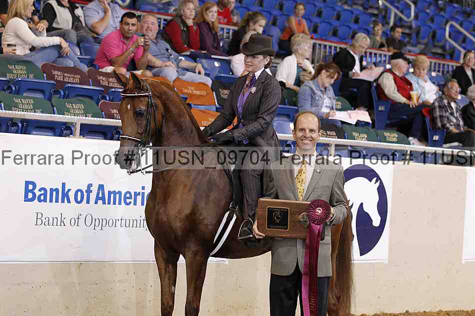 Proof 11usn_09704