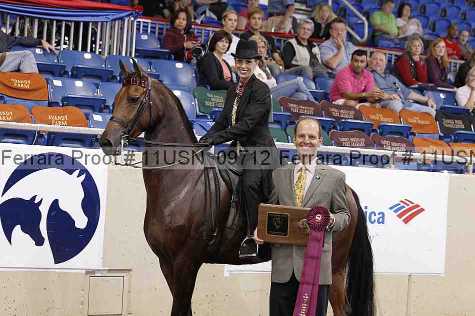 Proof 11usn_09712