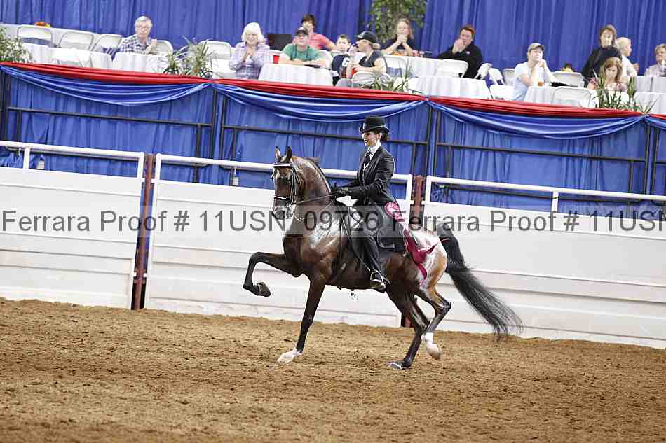 Proof 11usn_09726