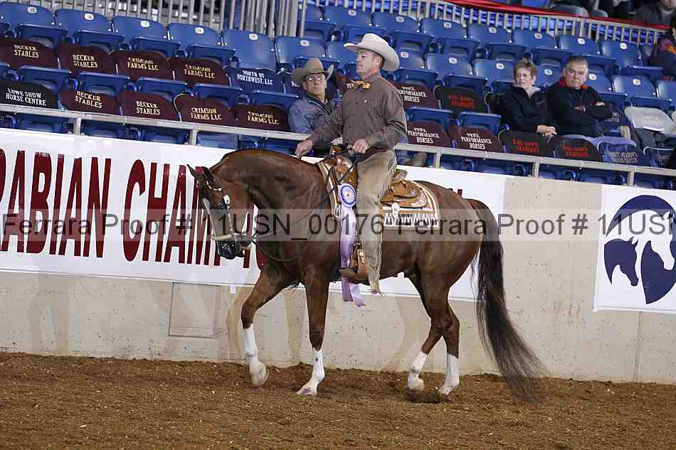 Proof 11usn_00176
