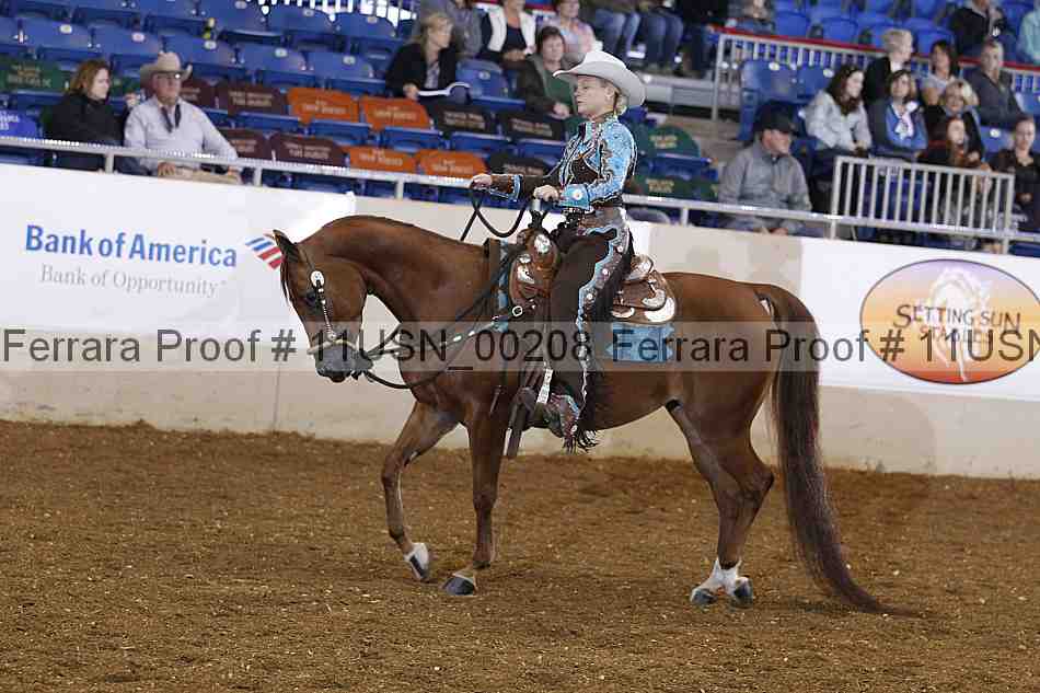 Proof 11usn_00208