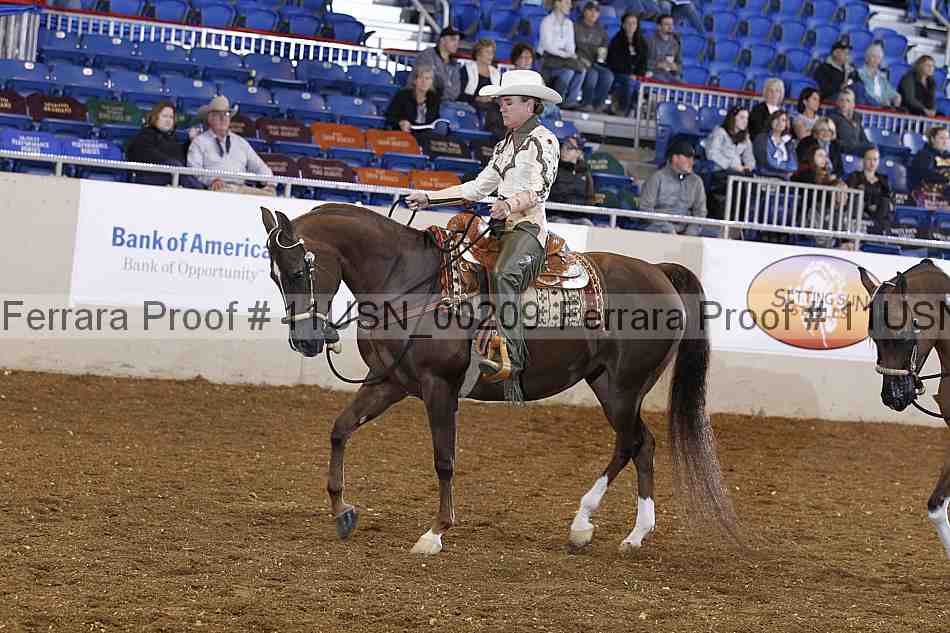 Proof 11usn_00209
