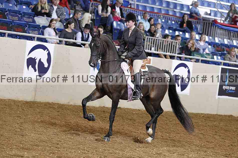 Proof 11usn_01173