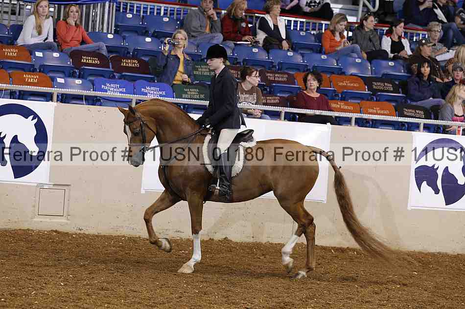 Proof 11usn_01180