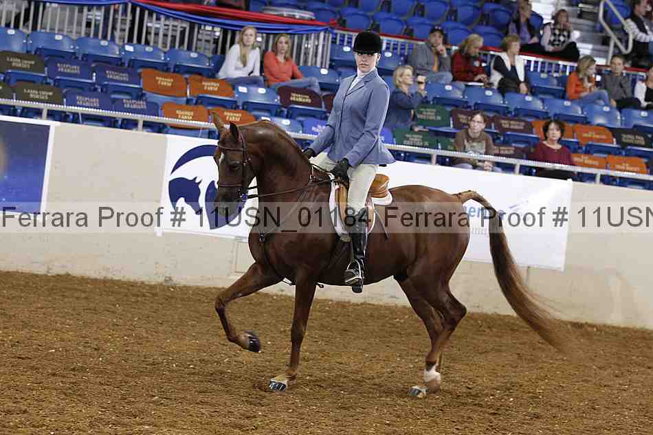 Proof 11usn_01184