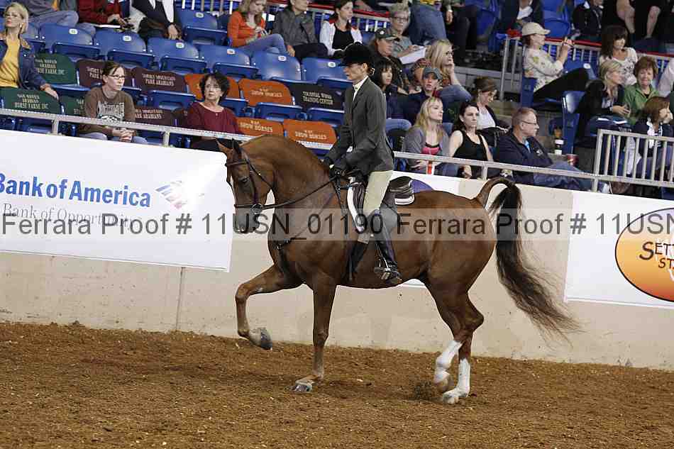 Proof 11usn_01190