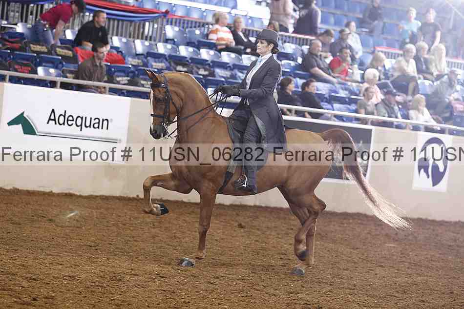 Proof 11usn_06282