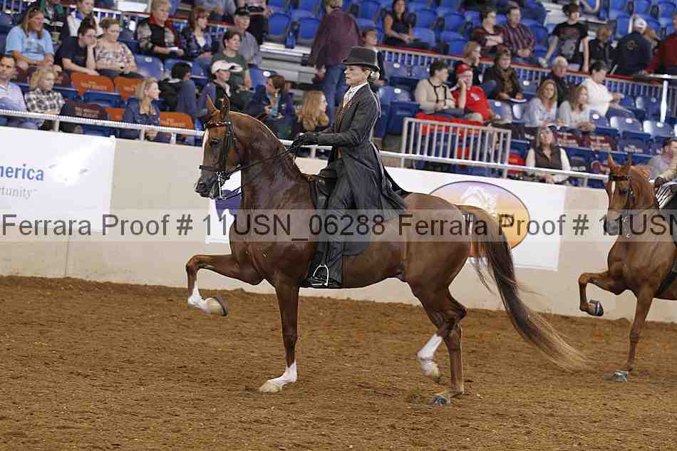 Proof 11usn_06288