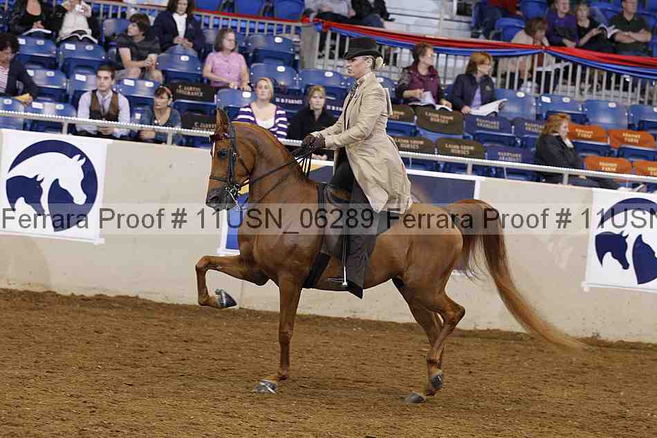 Proof 11usn_06289