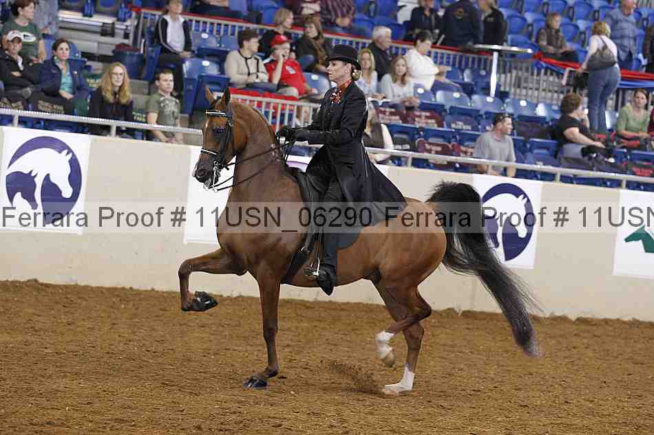 Proof 11usn_06290
