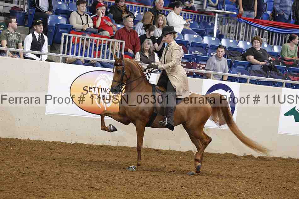 Proof 11usn_06301