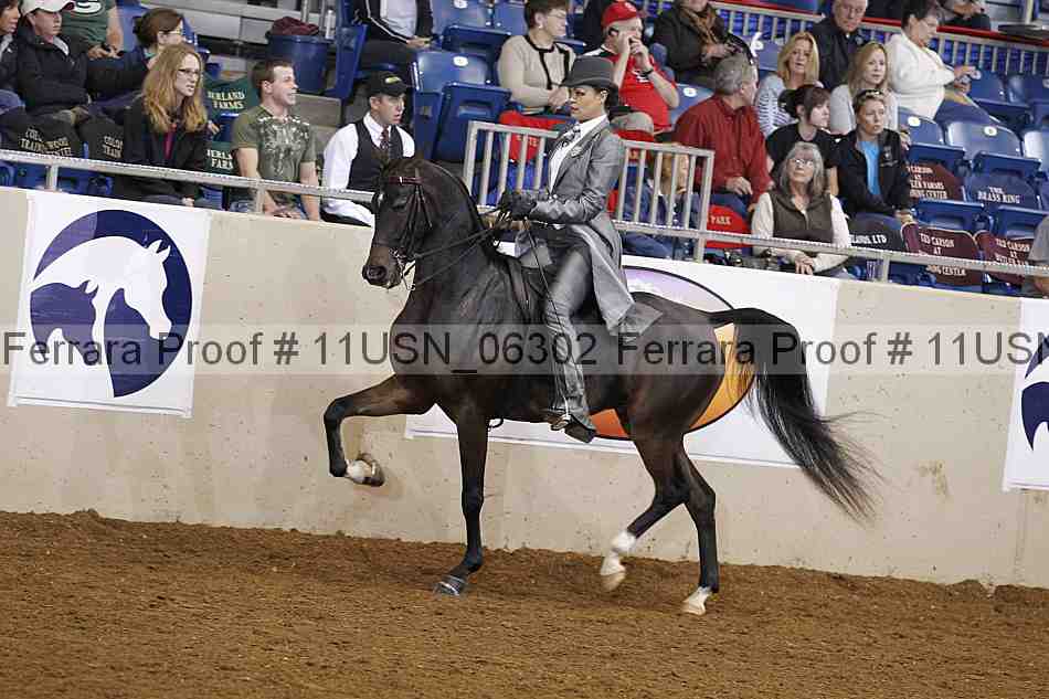 Proof 11usn_06302
