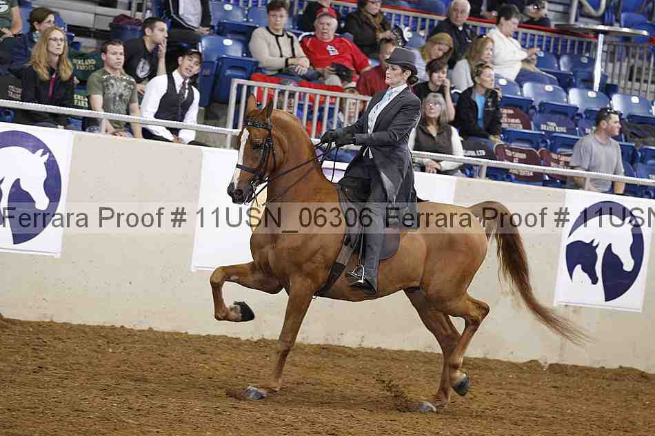 Proof 11usn_06306