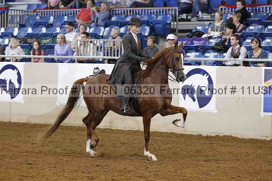 Proof 11usn_06320