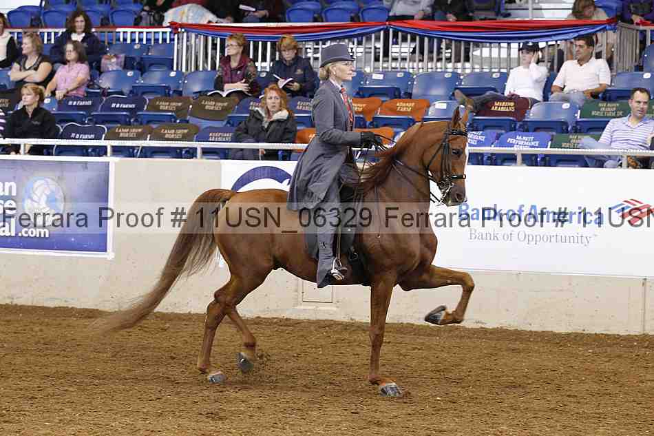 Proof 11usn_06329