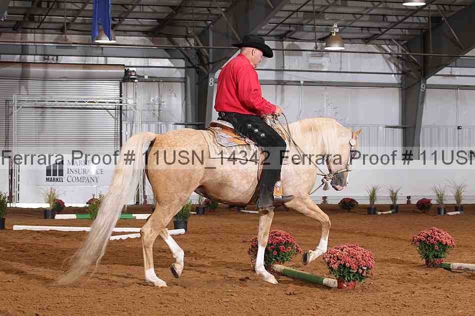 Proof 11usn_14342
