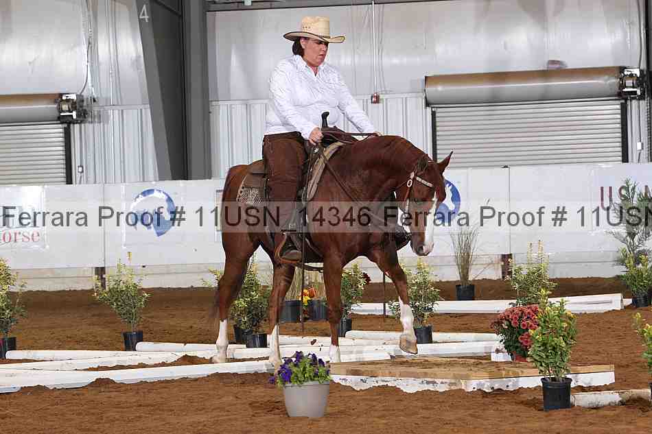 Proof 11usn_14346