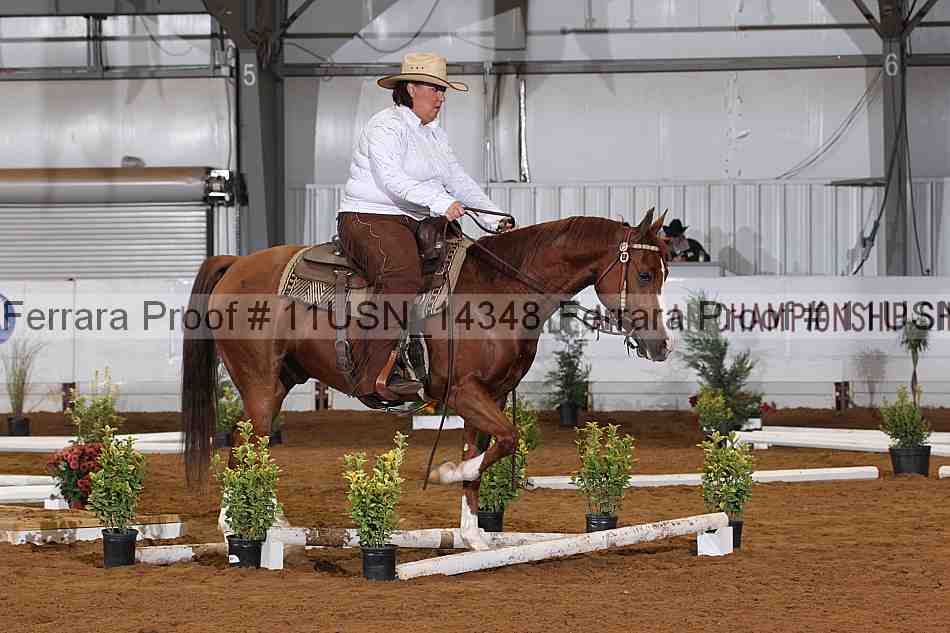 Proof 11usn_14348