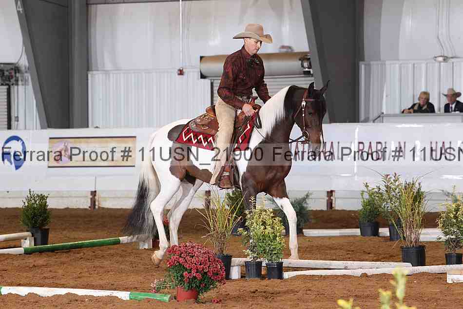 Proof 11usn_21900