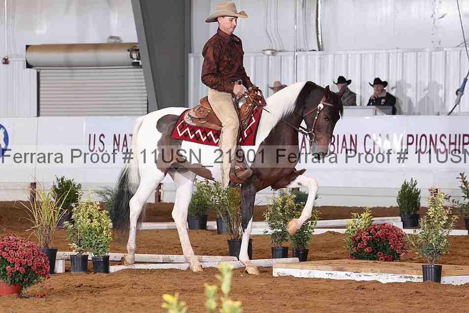 Proof 11usn_21901