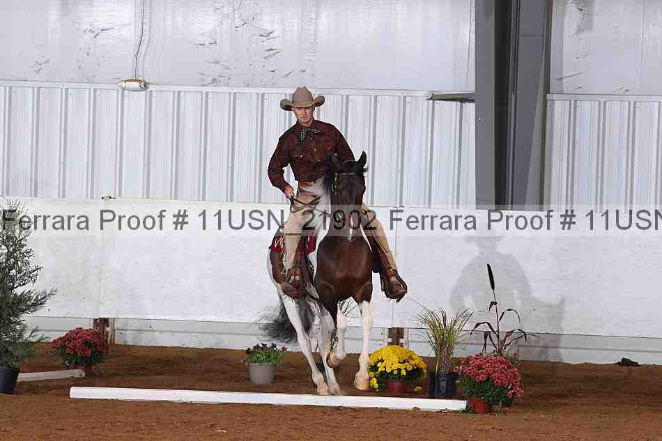 Proof 11usn_21902