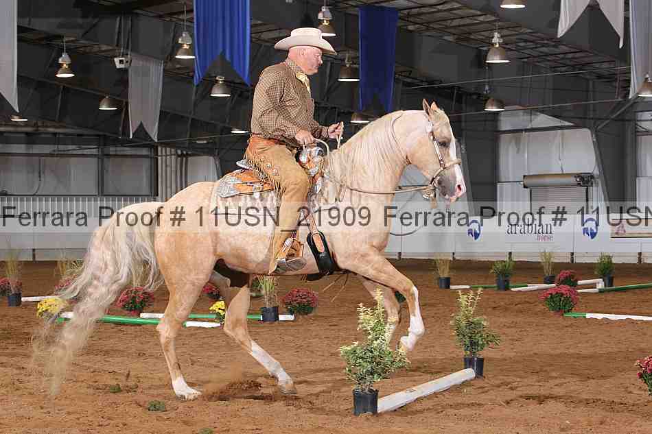 Proof 11usn_21909