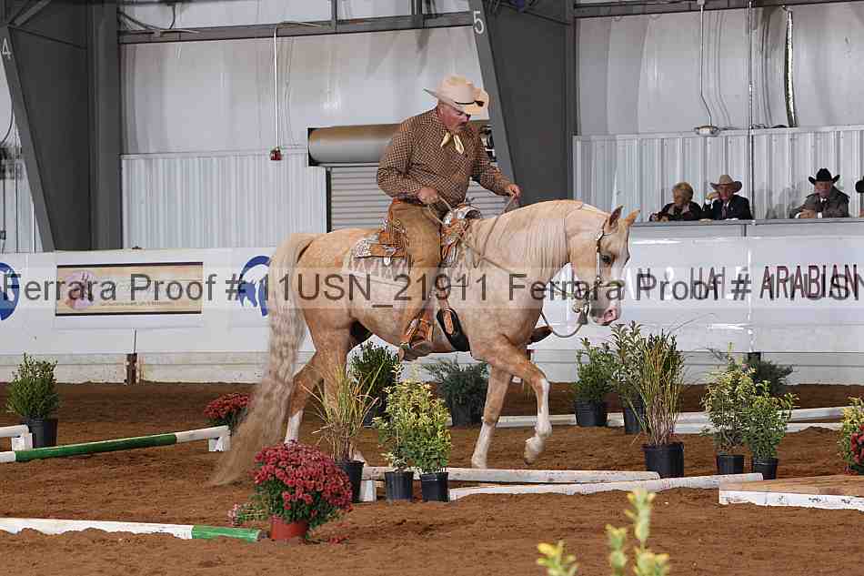 Proof 11usn_21911