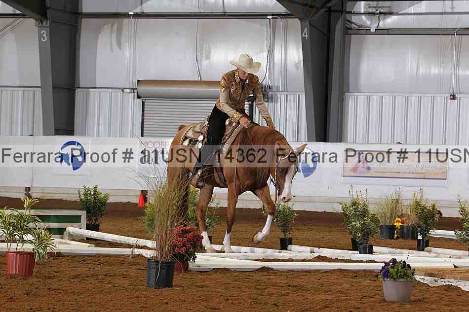 Proof 11usn_14362